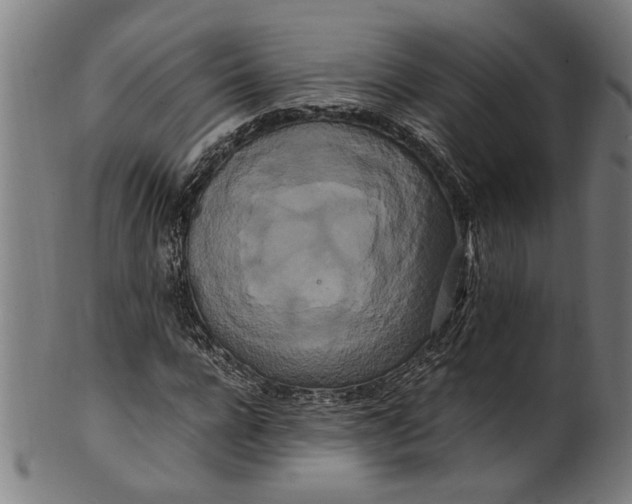 X0000100880920200807111338