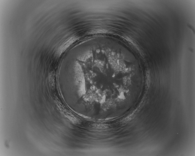 X0000100880921200807111338