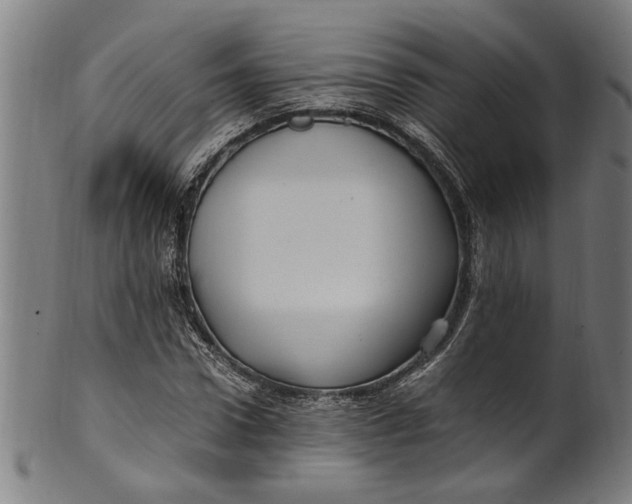 X0000100880922200807111338