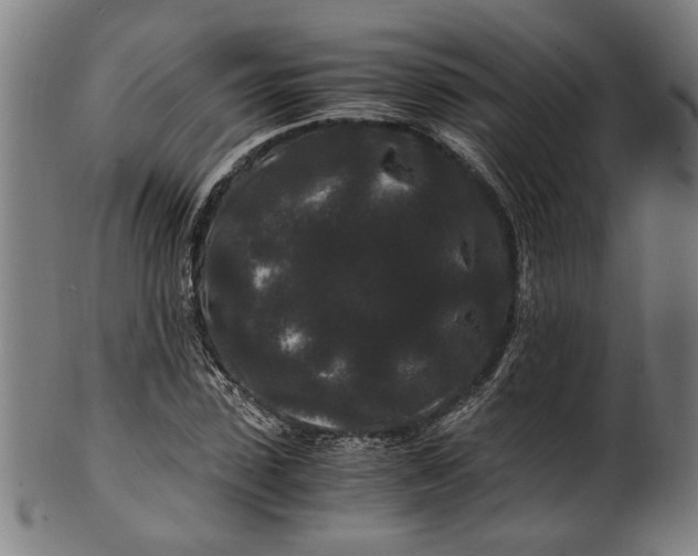 X0000100880923200807111338