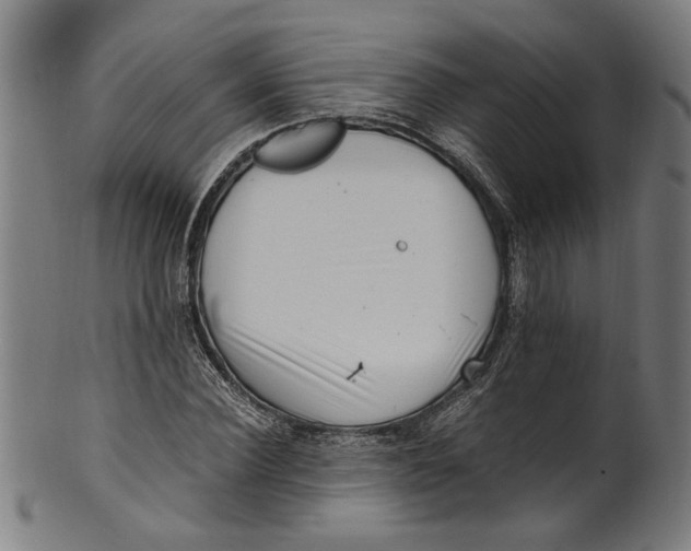 X0000100880924200807111338