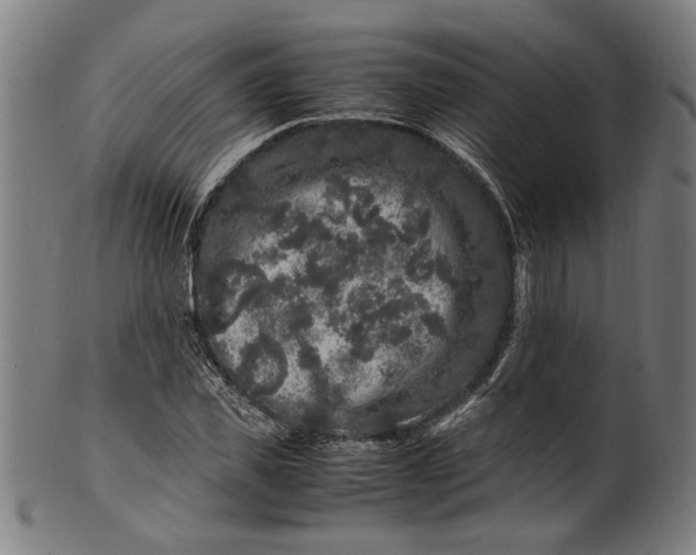 X0000100880925200807111338