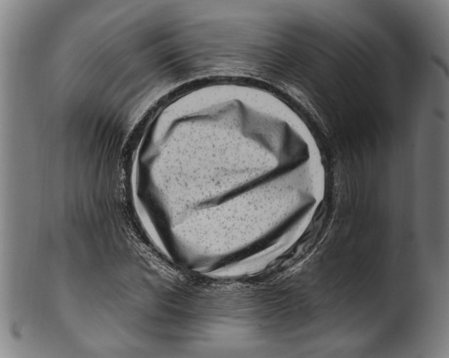 X0000100880926200807111338