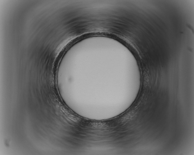 X0000100880927200807111338