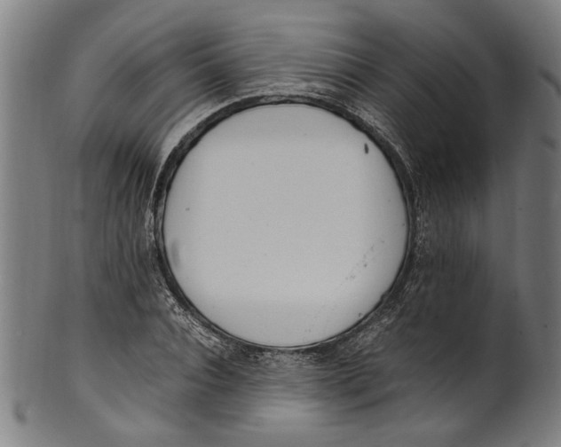 X0000100880928200807111338