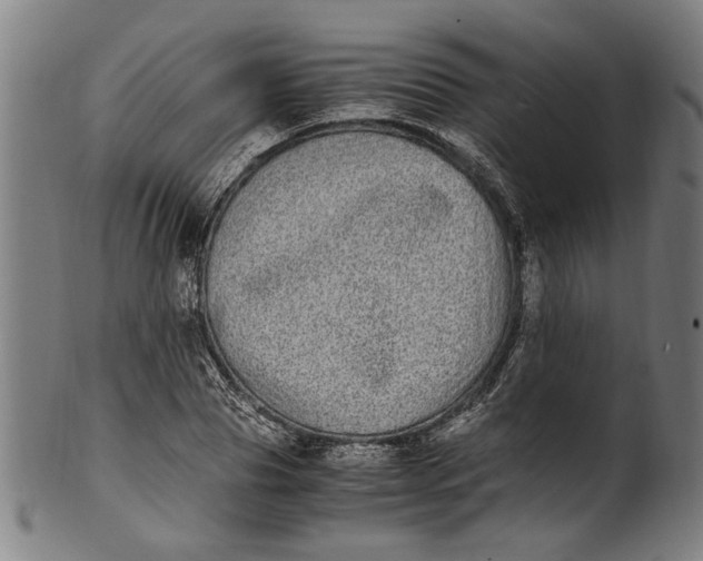 X0000100880929200807111338