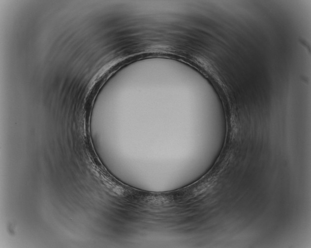 X0000100880931200807111338