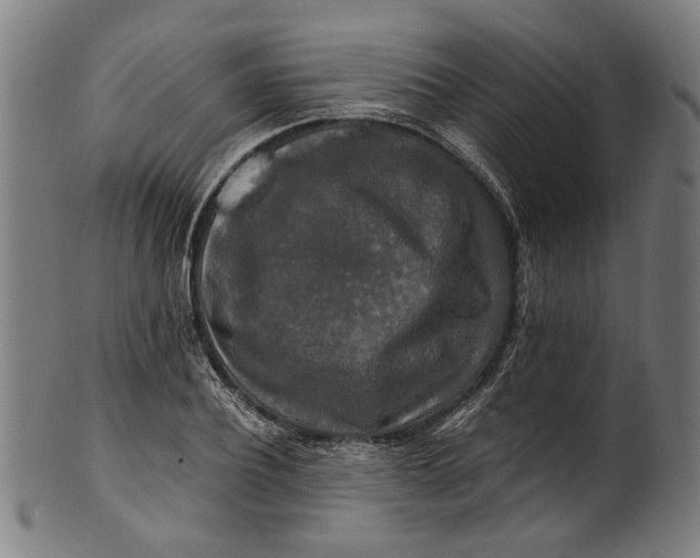 X0000100880932200807111338