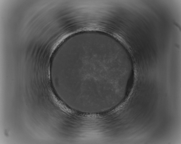 X0000100880934200807111338