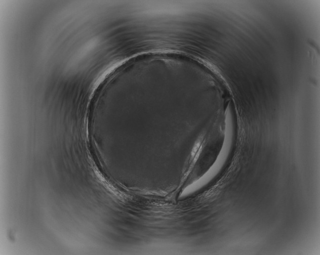 X0000100880935200807111338