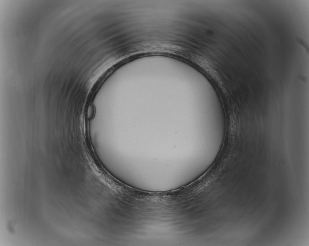 X0000100880936200807111338