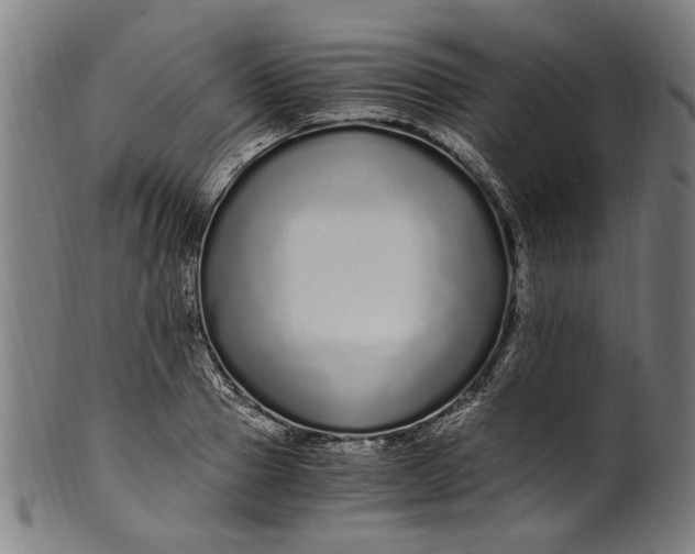 X0000100880937200807111338