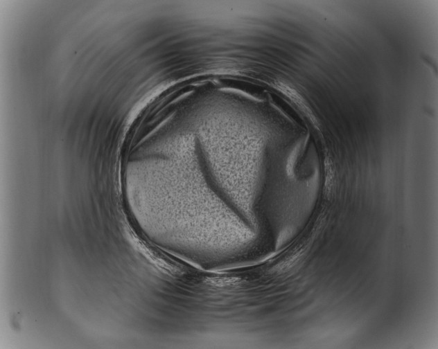 X0000100880939200807111338