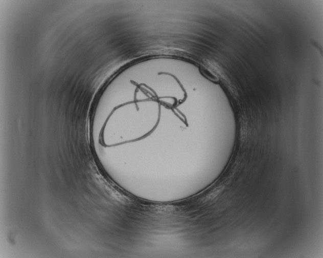 X0000100880940200807111338