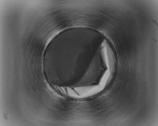 X0000100880941200807111338