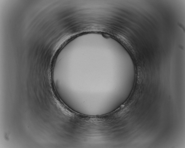 X0000100880942200807111338