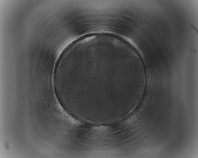 X0000100880943200807111338