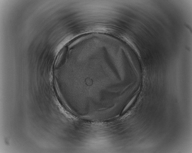 X0000100880944200807111338