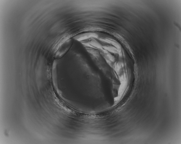 X0000100880945200807111338