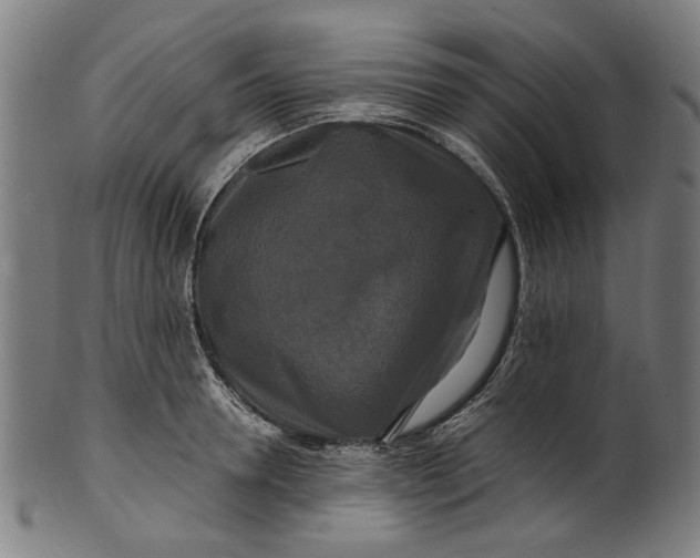 X0000100880946200807111338