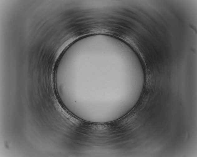 X0000100880947200807111338