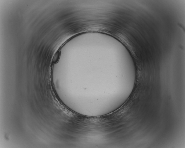 X0000100880948200807111339