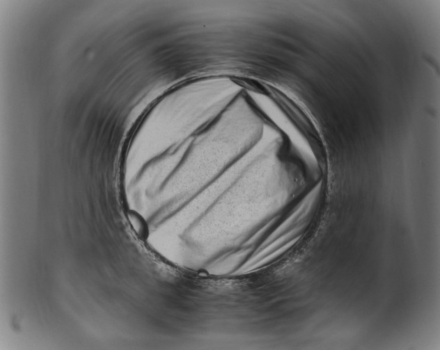 X0000100880949200807111339