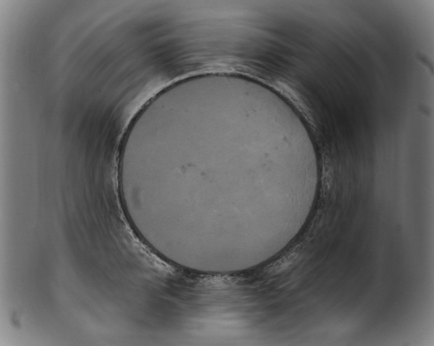 X0000100880950200807111339