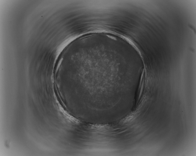 X0000100880951200807111339