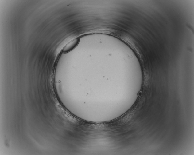 X0000100880952200807111339