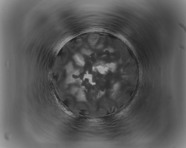 X0000100880953200807111339