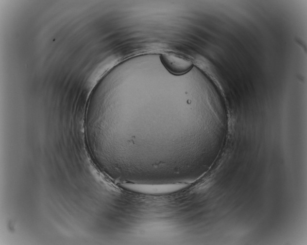 X0000100880954200807111339