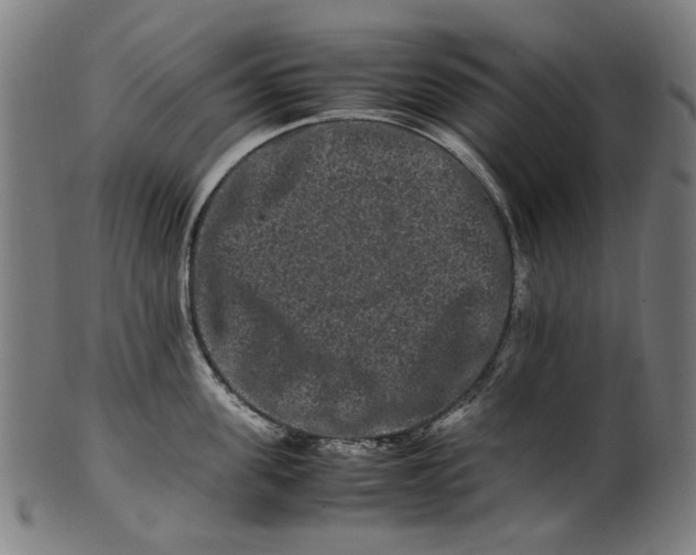 X0000100880955200807111339