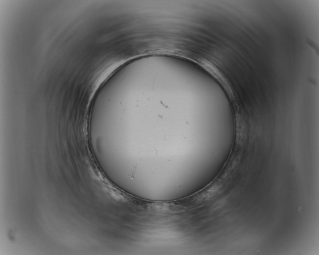 X0000100880956200807111339