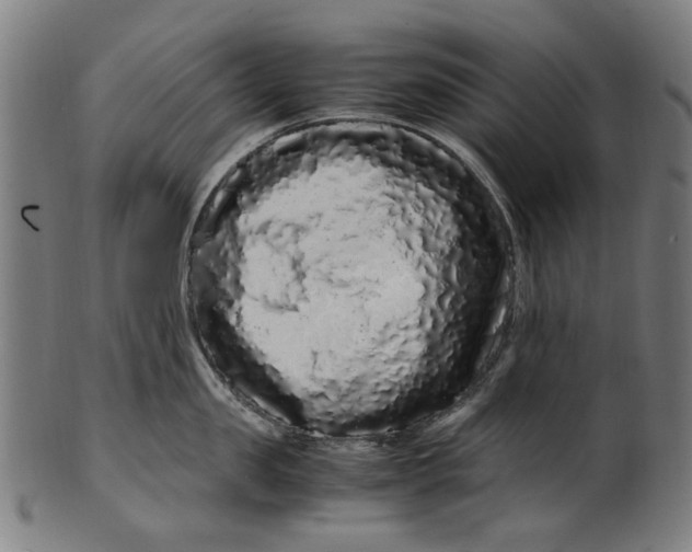 X0000100880957200807111339