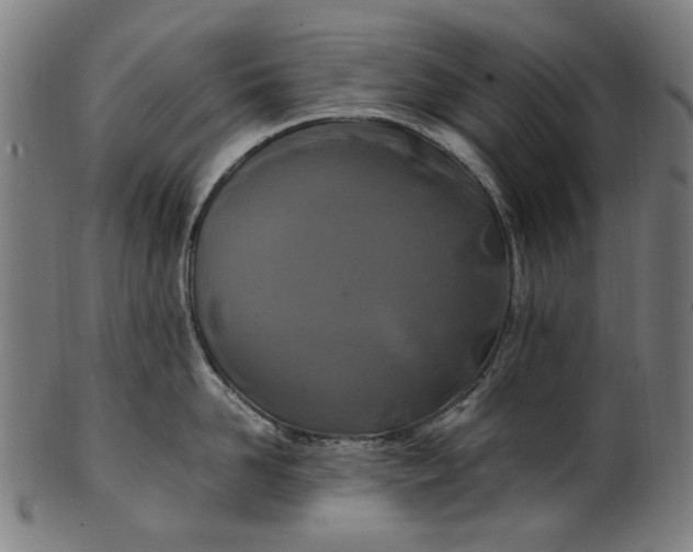 X0000100880958200807111339