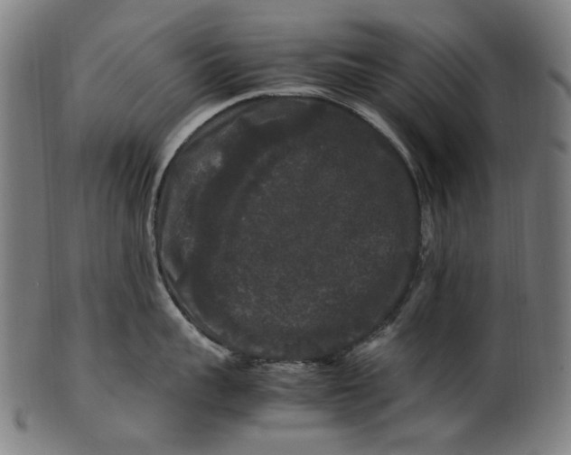 X0000100880959200807111339