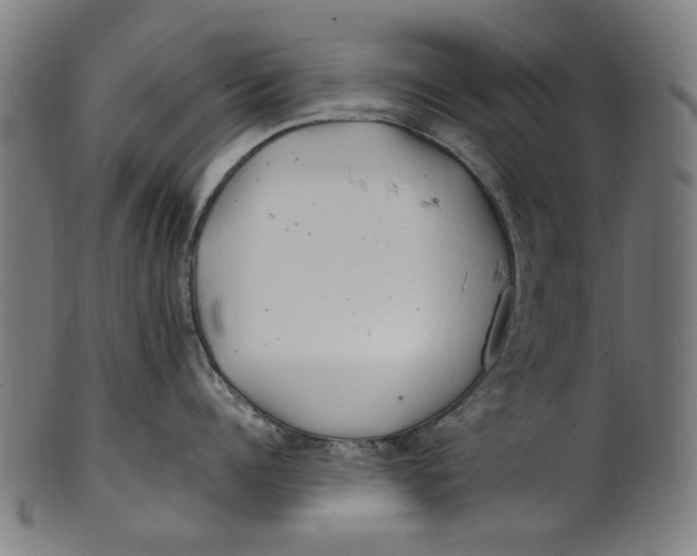 X0000100880960200807111339