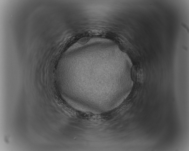 X0000100880961200807111338