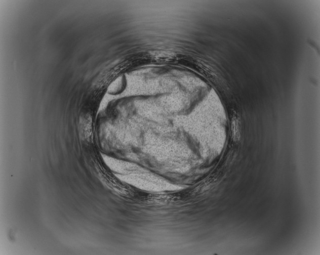 X0000100880963200807111338