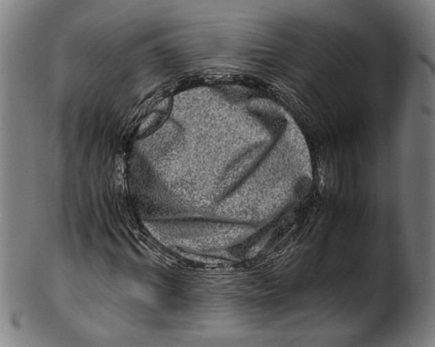 X0000100880964200807111338