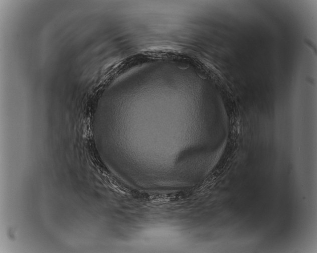 X0000100880965200807111338