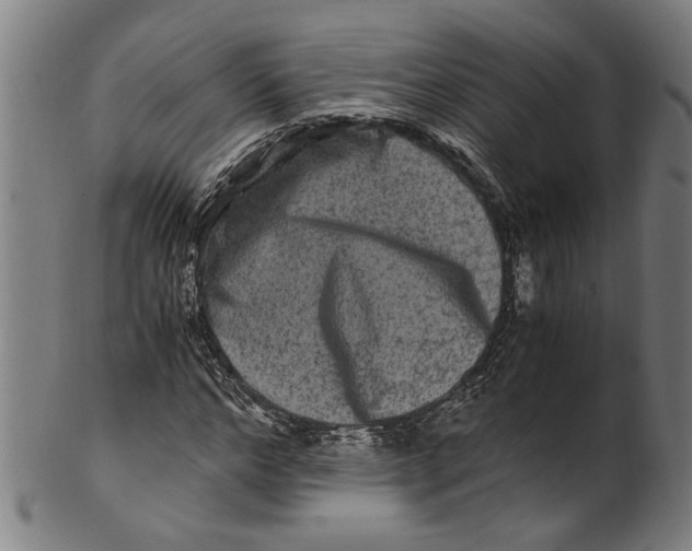 X0000100880968200807111338