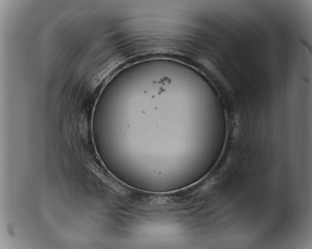 X0000100880969200807111338