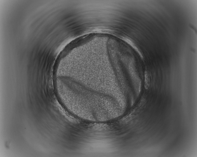 X0000100880972200807111338