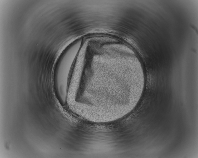 X0000100880976200807111338