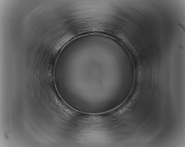 X0000100880977200807111338