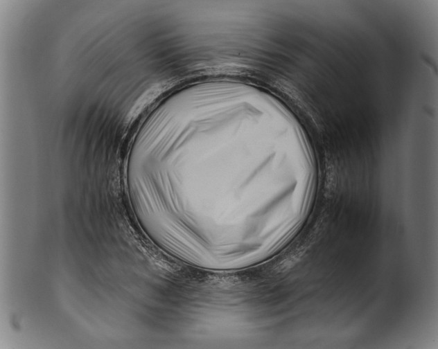 X0000100880978200807111338