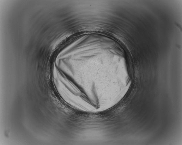 X0000100880979200807111338