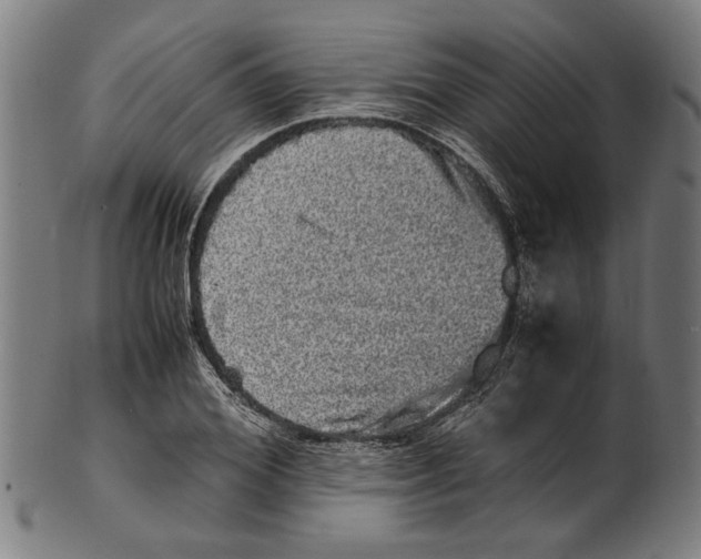 X0000100880980200807111338